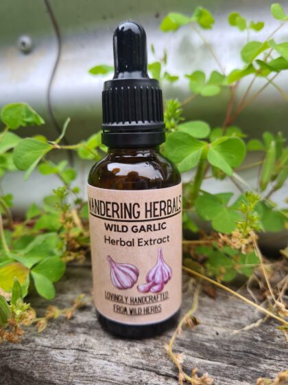 Wild Garlic Extract