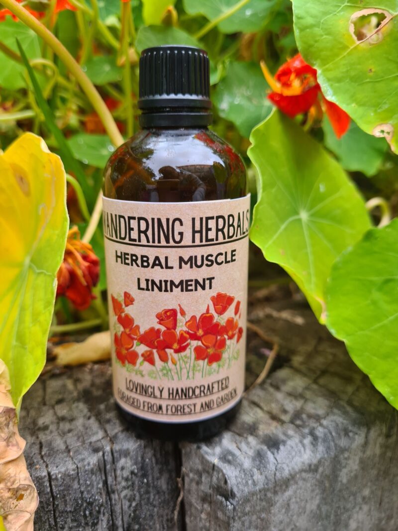 Wandering Herbals Muscle Ease Liniment